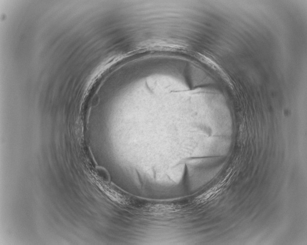 X0000059061027200510281627