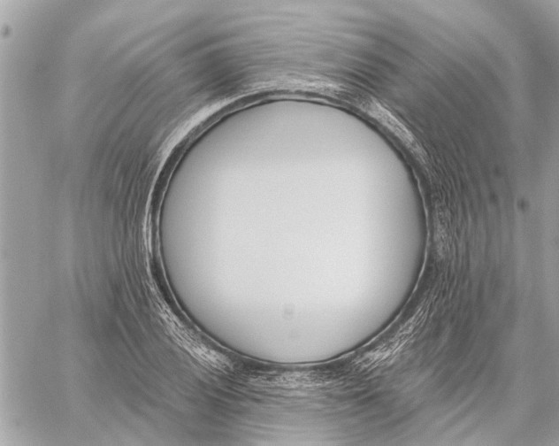 X0000059061028200510281627