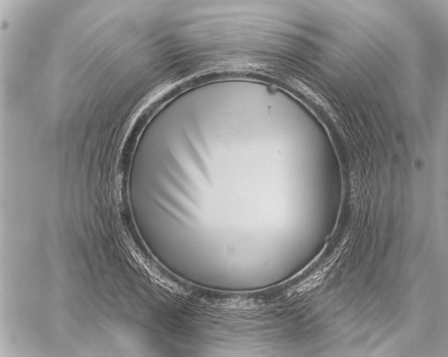 X0000059061029200510281627