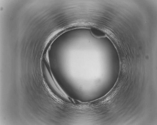 X0000059061030200510281627