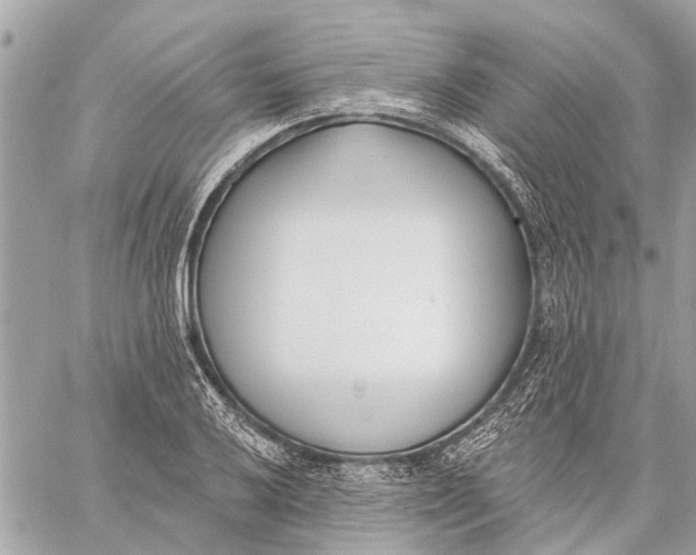 X0000059061032200510281627