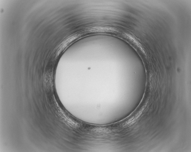 X0000059061033200510281627