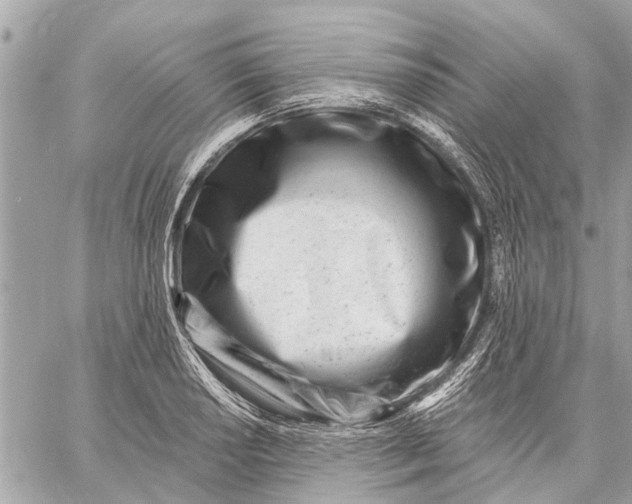 X0000059061034200510281627