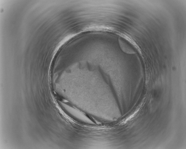 X0000059061037200510281627