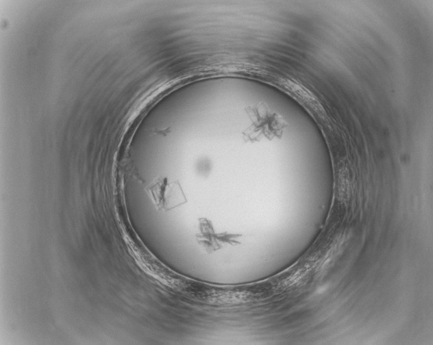 X0000059061039200510281627