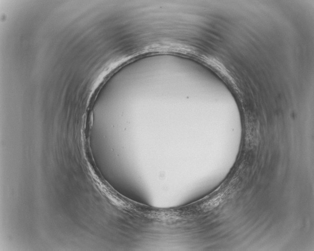 X0000059061040200510281627