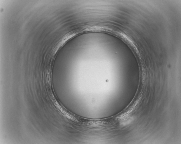 X0000059061041200510281627