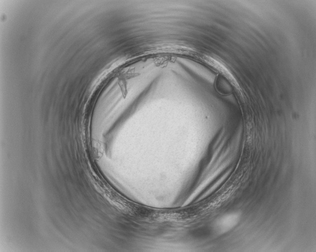 X0000059061043200510281627