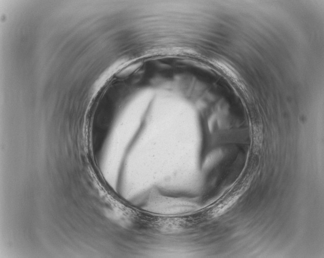 X0000059061046200510281627