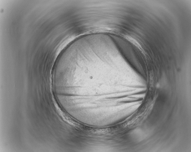 X0000059061047200510281627