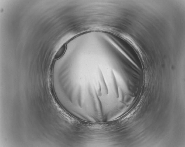 X0000059061048200510281627