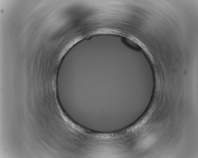 X0000059061049200510281627