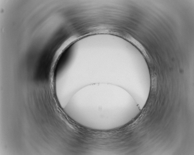 X0000059061051200510281628