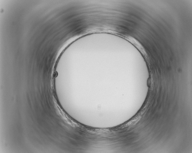 X0000059061052200510281628