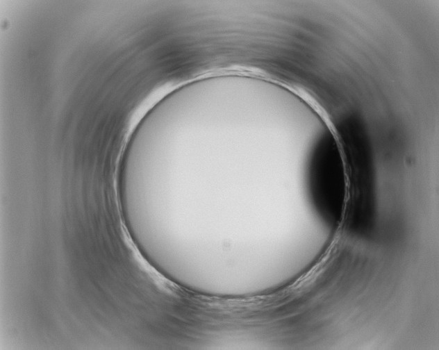 X0000059061054200510281628