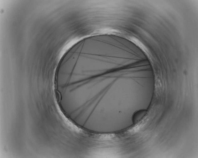 X0000059061055200510281628