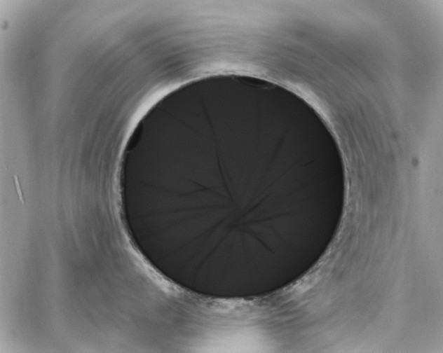 X0000059061056200510281628