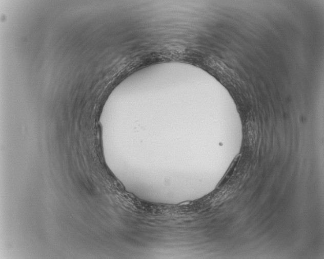 X0000059061057200510281627