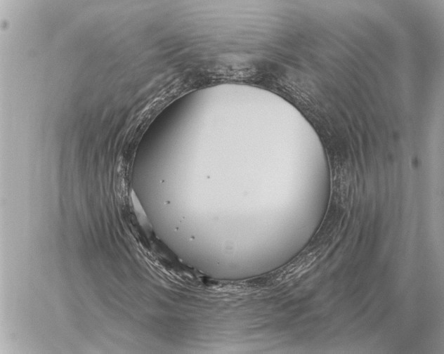 X0000059061058200510281627