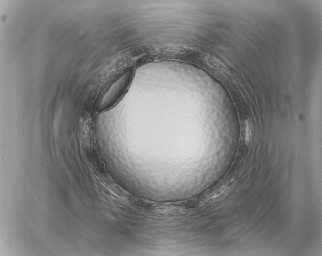 X0000059061059200510281627