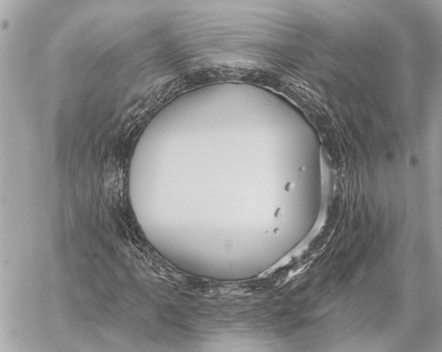 X0000059061061200510281627