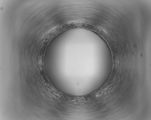 X0000059061062200510281627