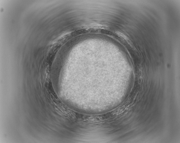 X0000059061063200510281627