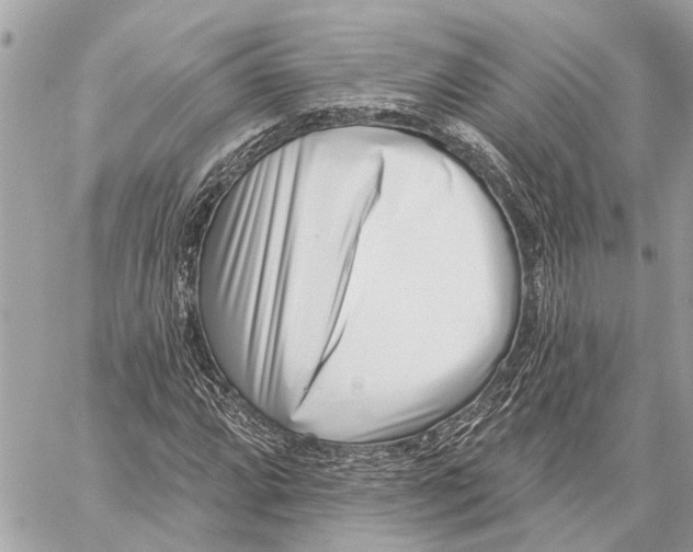 X0000059061064200510281627