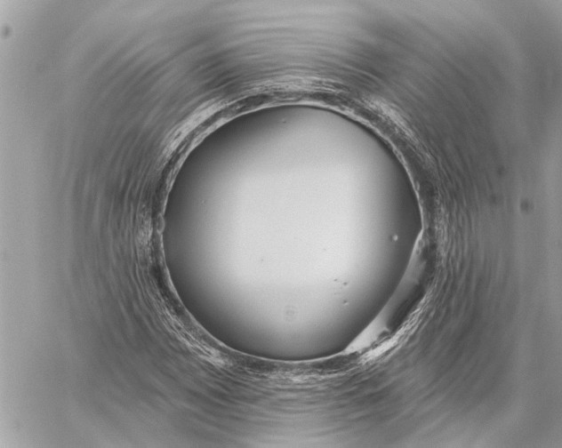 X0000059061065200510281627