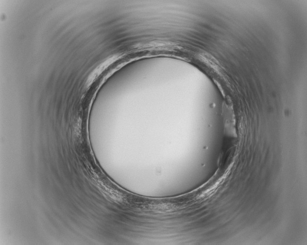 X0000059061066200510281627