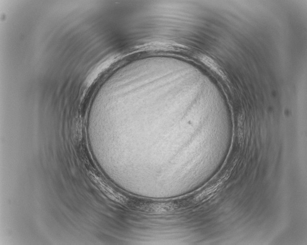 X0000059061067200510281627