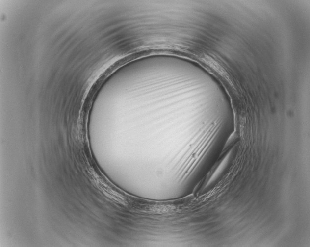 X0000059061068200510281627