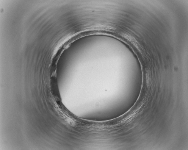 X0000059061069200510281627