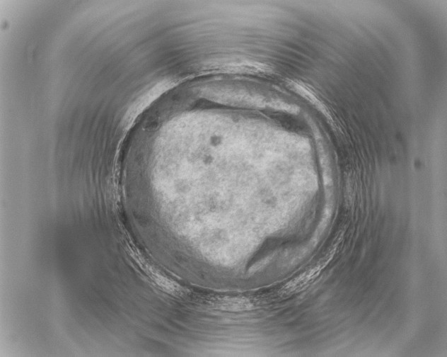 X0000059061071200510281627