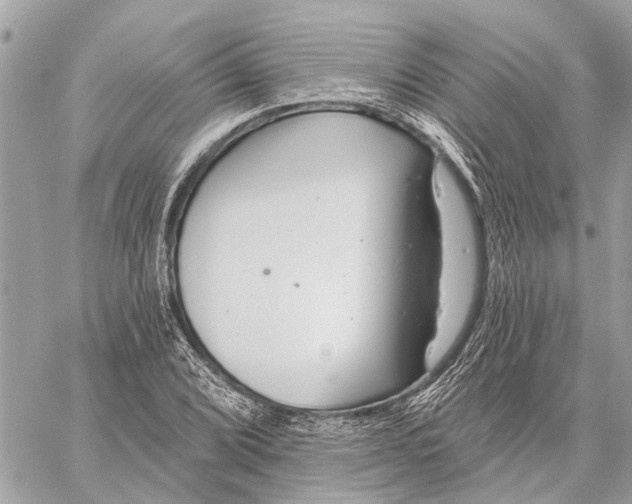 X0000059061072200510281627