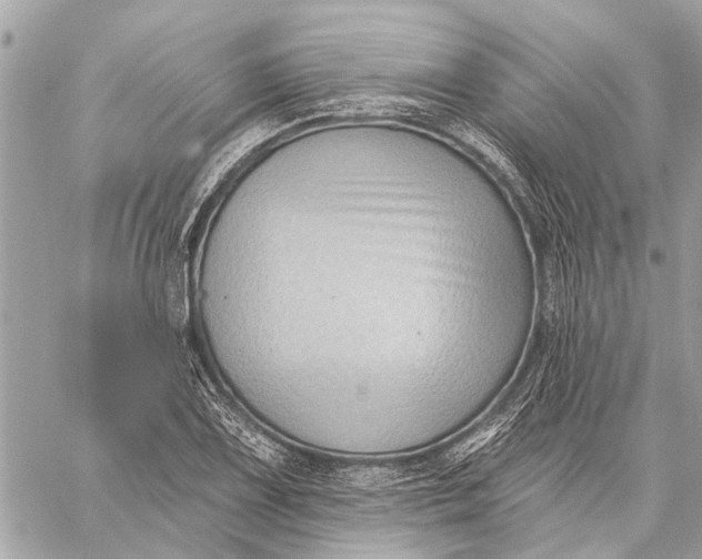 X0000059061075200510281627