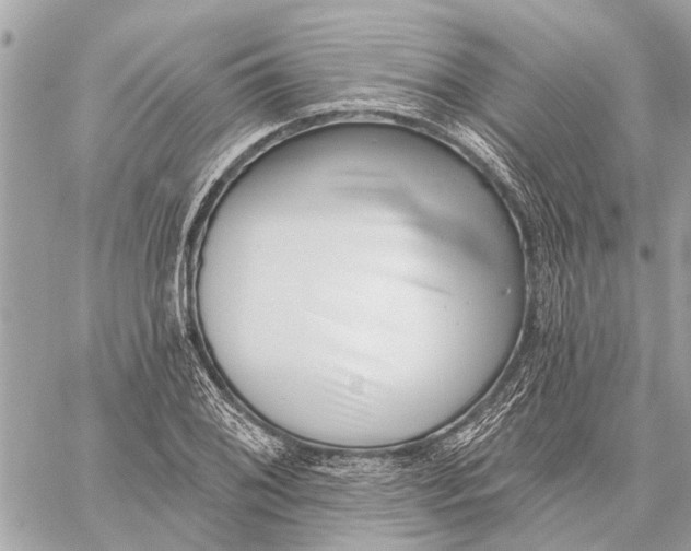 X0000059061076200510281626