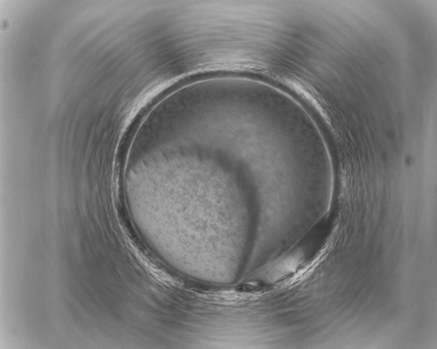 X0000059061077200510281626