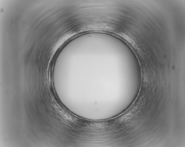 X0000059061078200510281626