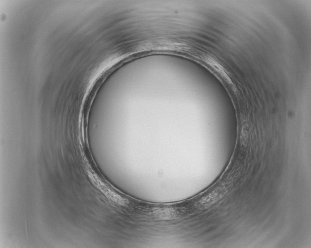 X0000059061080200510281626