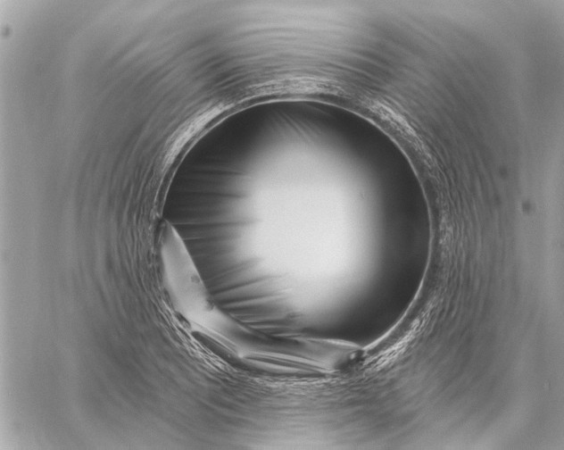 X0000059061081200510281626