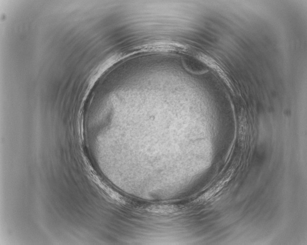 X0000059061083200510281626