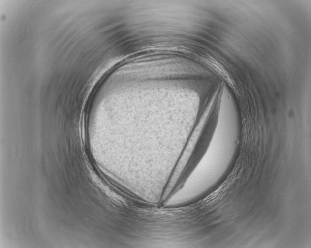 X0000059061084200510281626