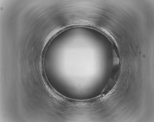 X0000059061085200510281626