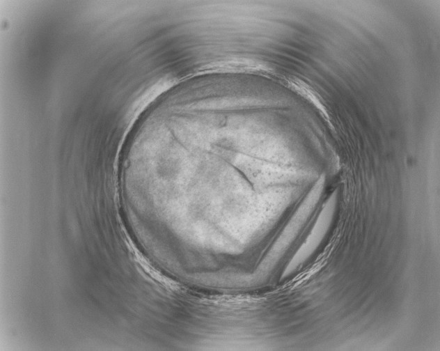 X0000059061087200510281626