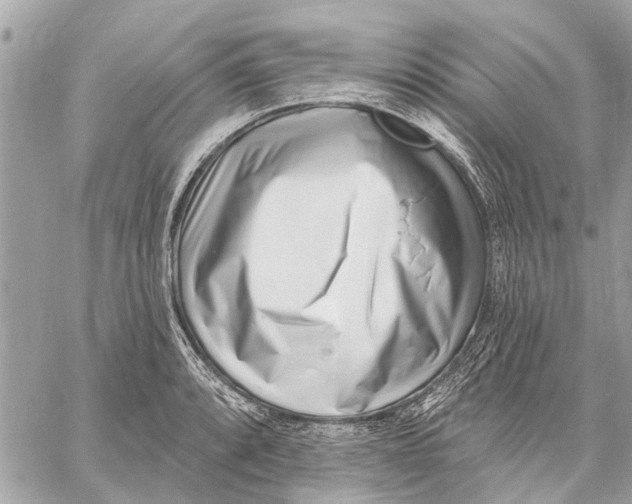 X0000059061088200510281626