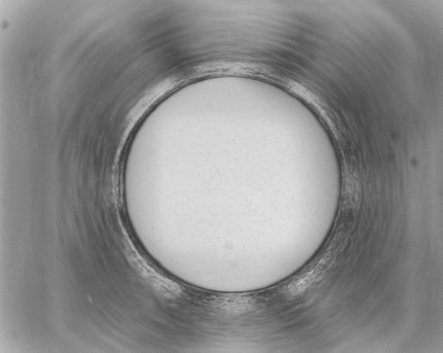 X0000059061090200510281626