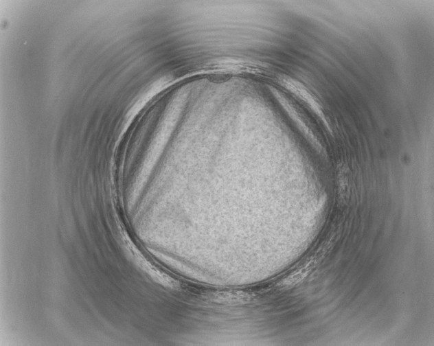 X0000059061091200510281626