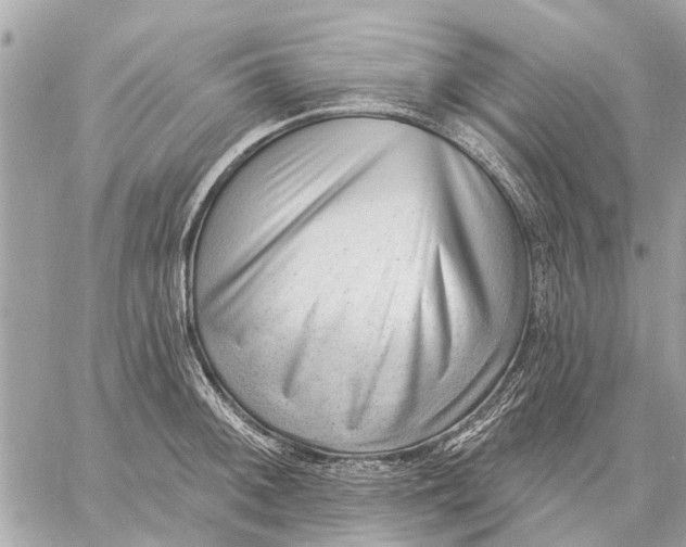 X0000059061092200510281626