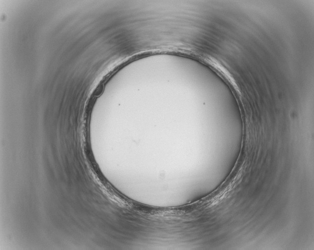 X0000059061093200510281626